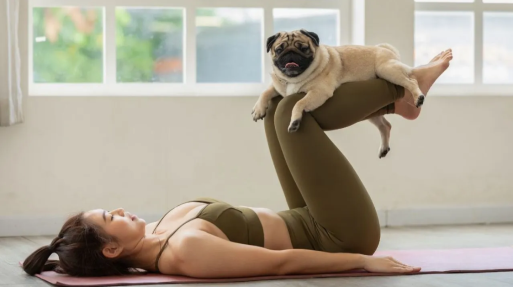 How to Choose a Safe and Responsible Puppy Yoga Class
